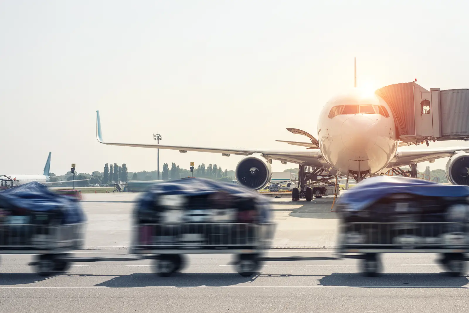 Baggage carts moving across the apron